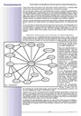 carelit_200614_3.jpg