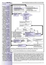 carelit_200544_4.jpg