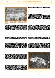 carelit_233838_3.jpg