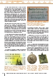carelit_228381_3.jpg