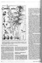carelit_49226_4.jpg
