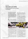 Viel Lärm um nichts